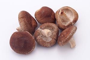 有楽町で絶対に外さない！厳選ラーメン店と美味しい食べ方ガイド