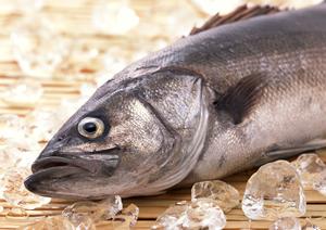 居酒家 土間土間 八重洲店 – 日本橋の隠れ家居酒屋