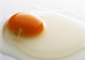 新宿で牡蠣とイタリアンを楽しむ絶品オイスターバー「ジャックポット新宿」：旬の味覚と多彩なドリンクの融合